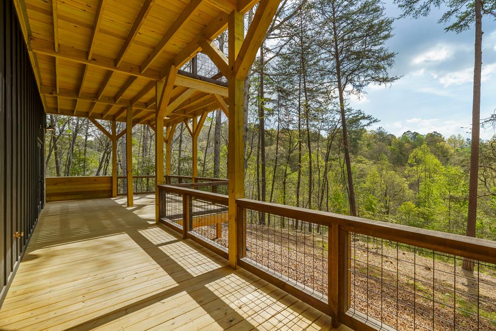 250 Wolfcreek Road Mineral Bluff, GA 30559 - Photo 46 of 56