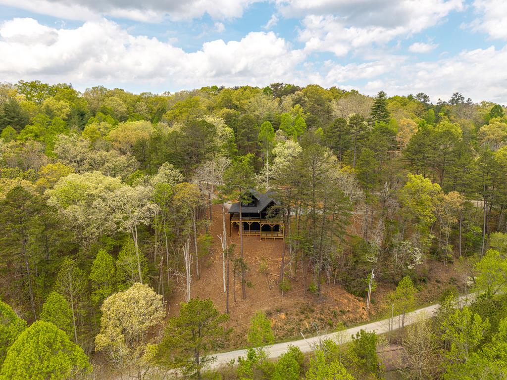 250 Wolfcreek Road Mineral Bluff, GA 30559 - Photo 50 of 56