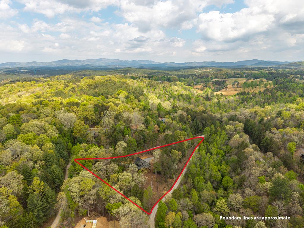 250 Wolfcreek Road Mineral Bluff, GA 30559 - Photo 51 of 56