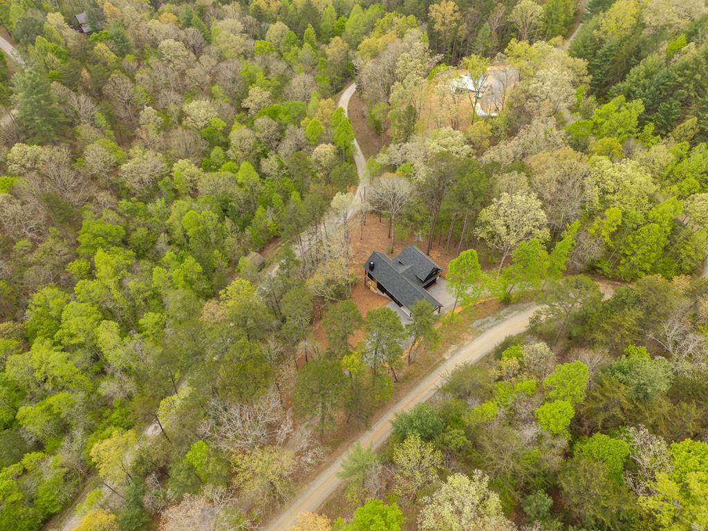250 Wolfcreek Road Mineral Bluff, GA 30559 - Photo 52 of 56