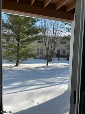 a view of a glass door with a tree