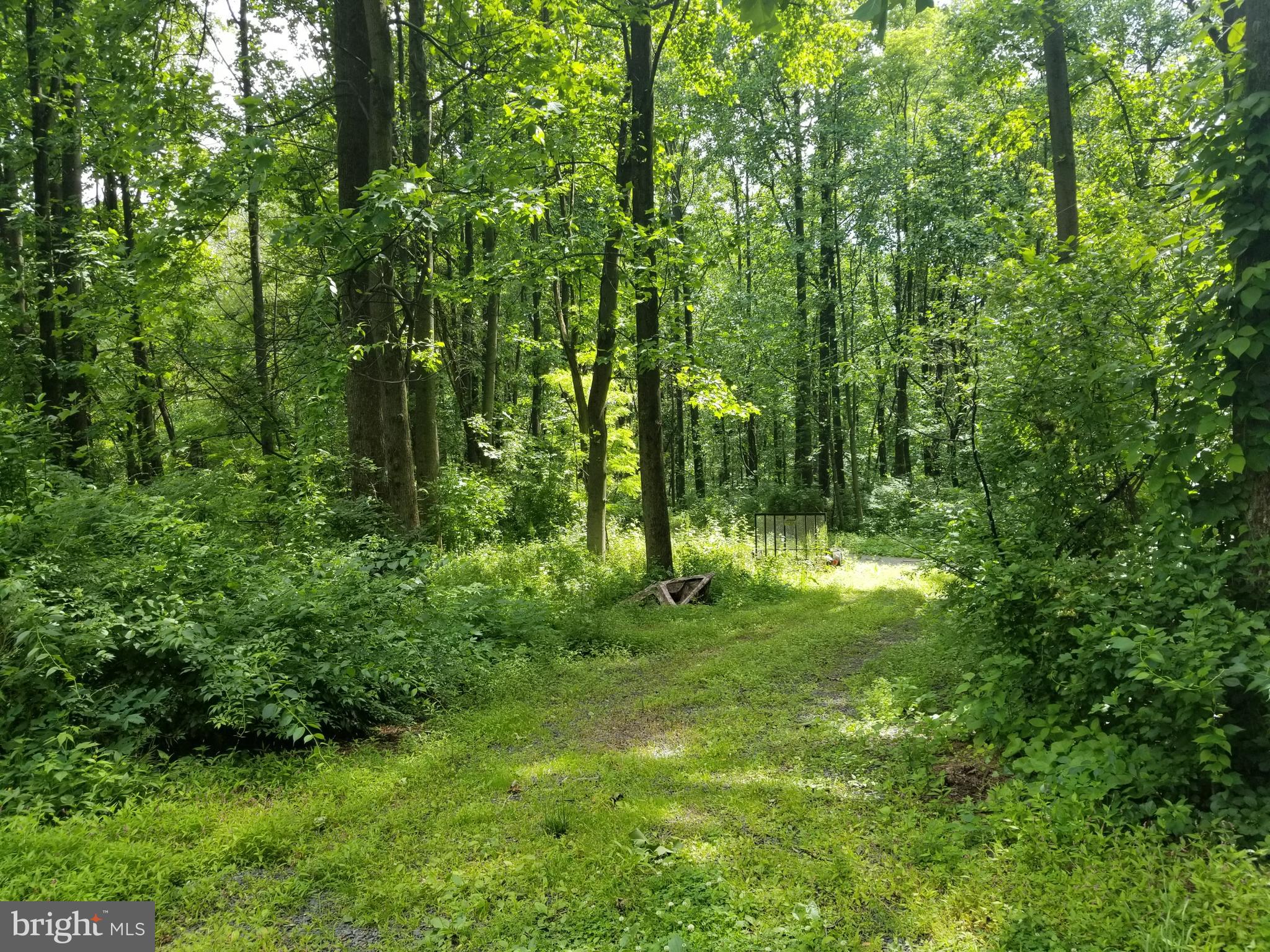 236 Sunset Hill Road Boyertown, PA 19512 - Photo 26 of 60 turn around or pull through
