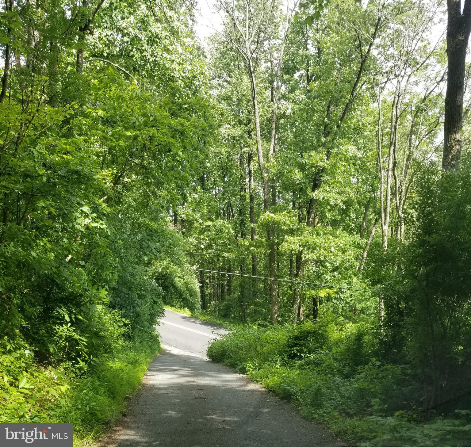 236 Sunset Hill Road Boyertown, PA 19512 - Photo 28 of 60 driveway