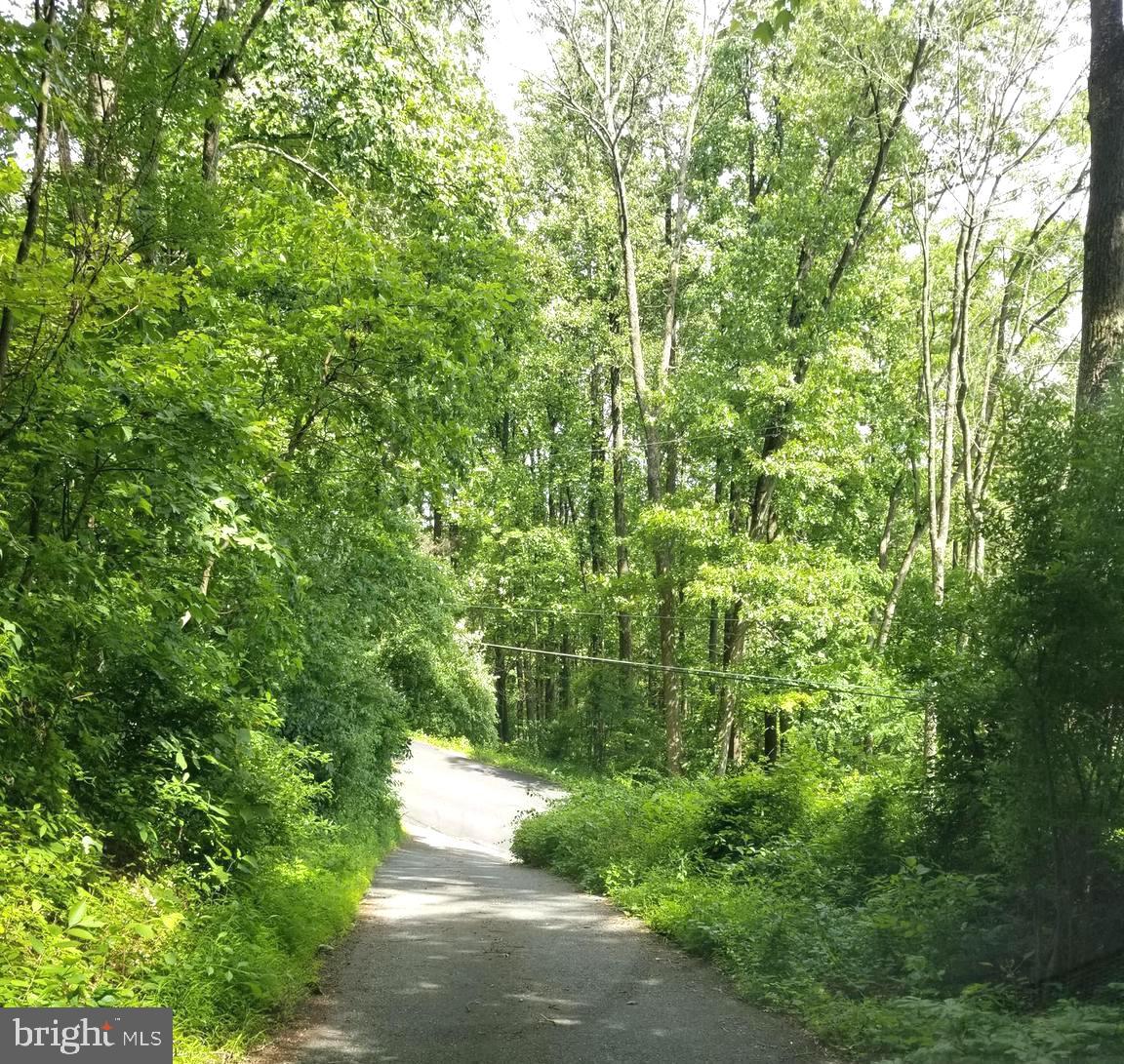 236 Sunset Hill Road Boyertown, PA 19512 - Photo 7 of 60 Driveway