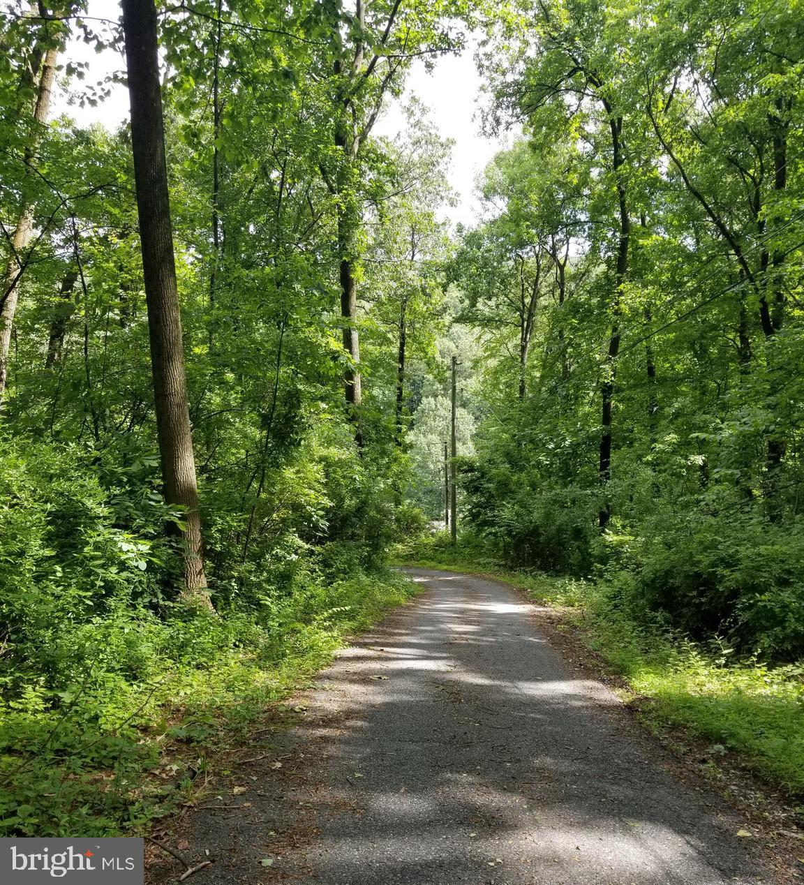 236 Sunset Hill Road Boyertown, PA 19512 - Photo 10 of 60 Driveway