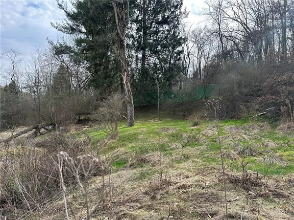 a view of backyard with green space