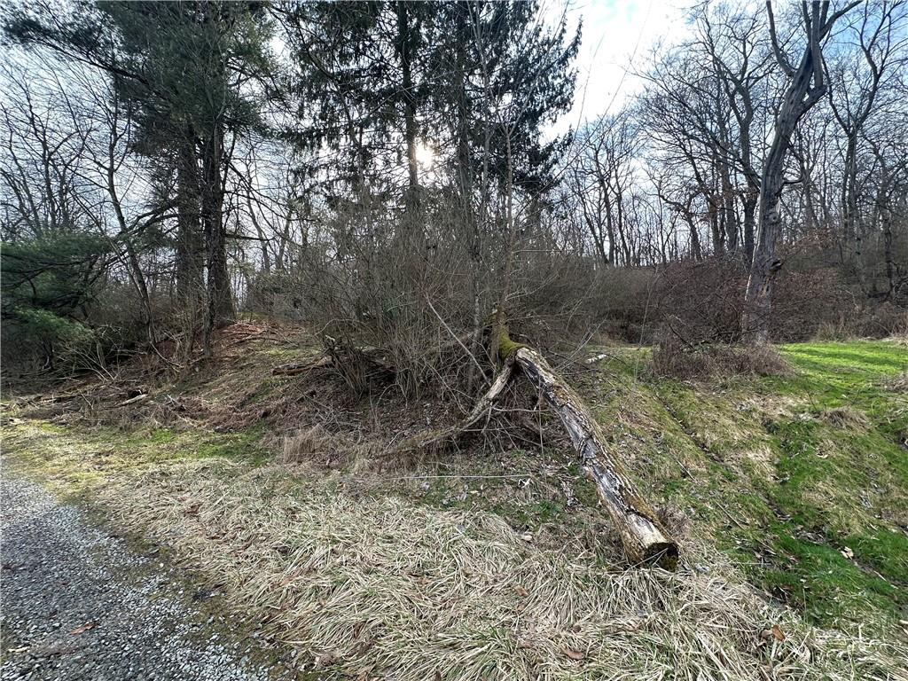 116 Seipe Lane Valencia, PA 16059 - Photo 2 of 9 a backyard of a house with lots of green space
