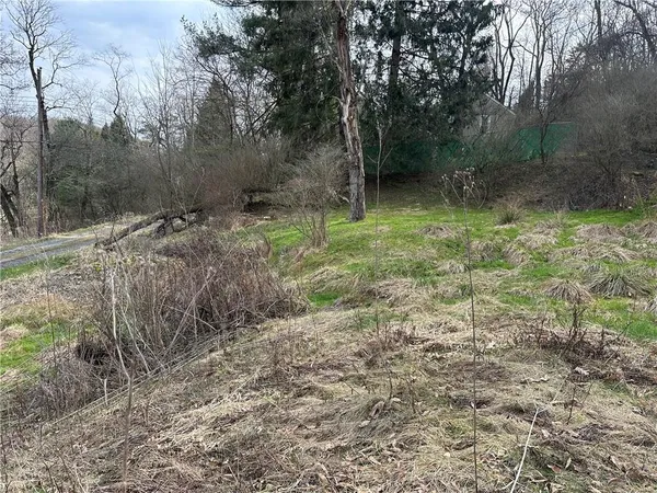 a view of outdoor space and green space