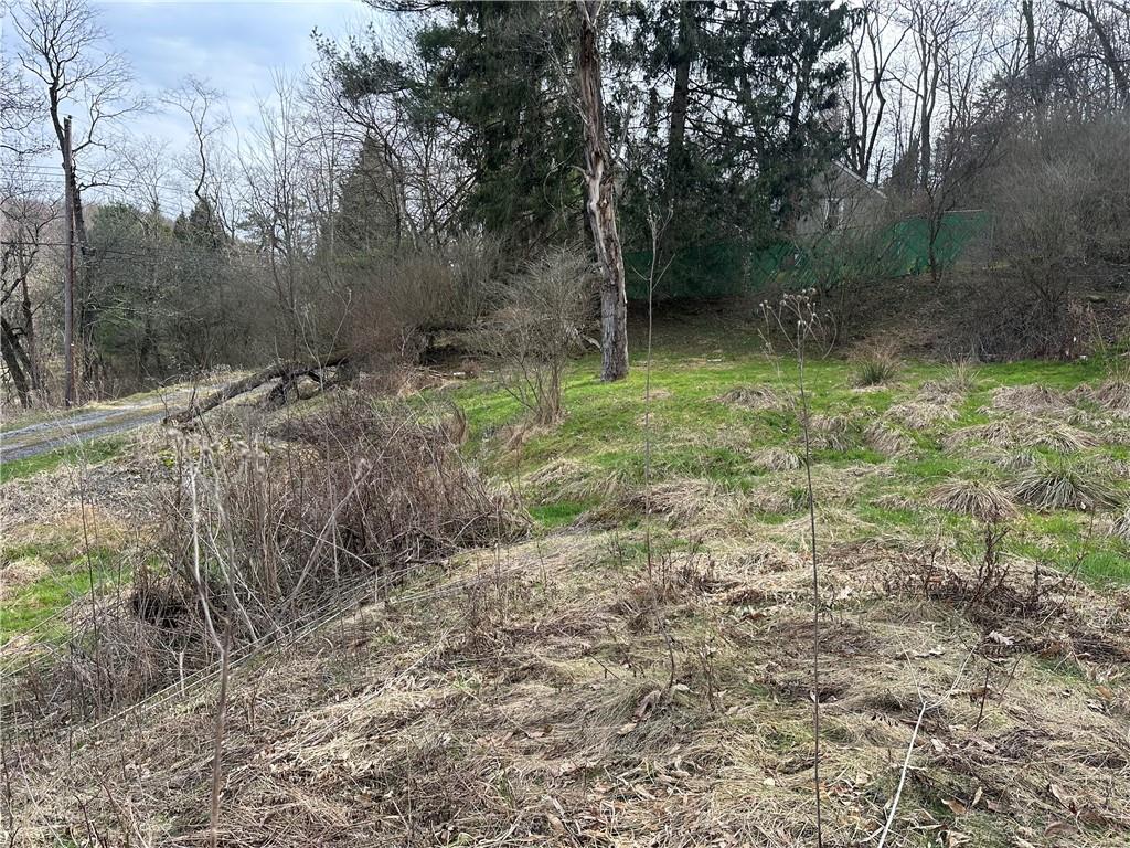 116 Seipe Lane Valencia, PA 16059 - Photo 3 of 9 a view of outdoor space and green space