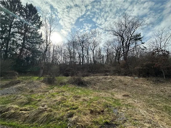 a view of backyard with green space
