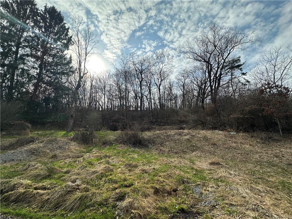 116 Seipe Lane Valencia, PA 16059 - Photo 6 of 9 a view of backyard with green space