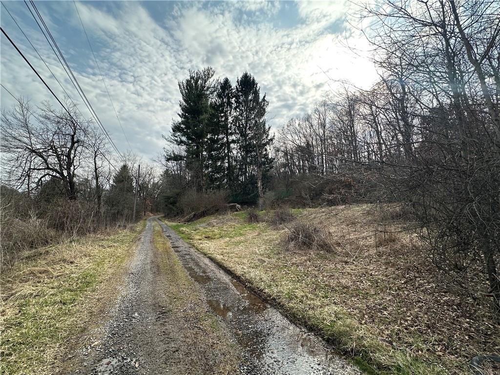 116 Seipe Lane Valencia, PA 16059 - Photo 7 of 9 a view of a yard