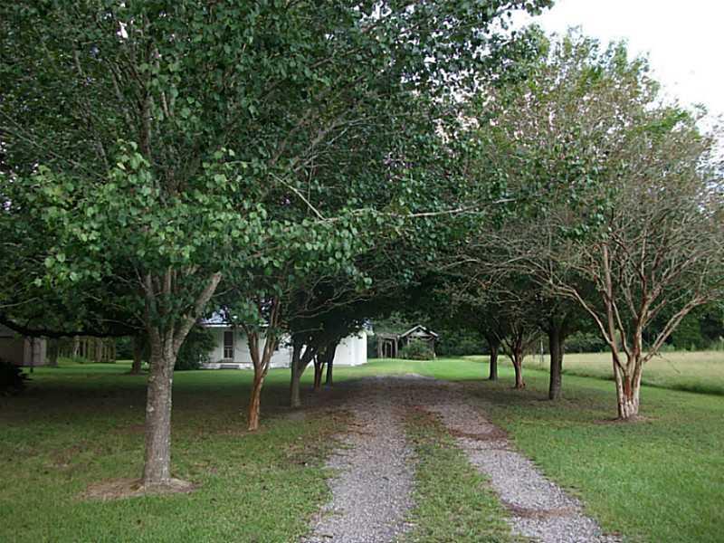 42134 West Yellow Water Road Hammond, LA 70403 - Photo 3 of 24 Gallery Image 3