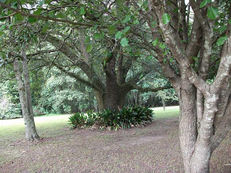 42134 West Yellow Water Road Hammond, LA 70403 - Photo 10 of 24 Gallery Image 10