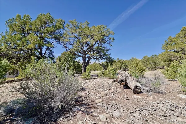 $35,000 | 3921 Cordial Way, Crestone, CO 81131