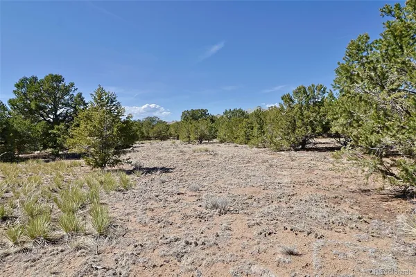 $35,000 | 3921 Cordial Way, Crestone, CO 81131