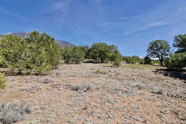 $35,000 | 3921 Cordial Way, Crestone, CO 81131