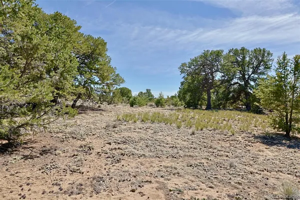 $35,000 | 3921 Cordial Way, Crestone, CO 81131