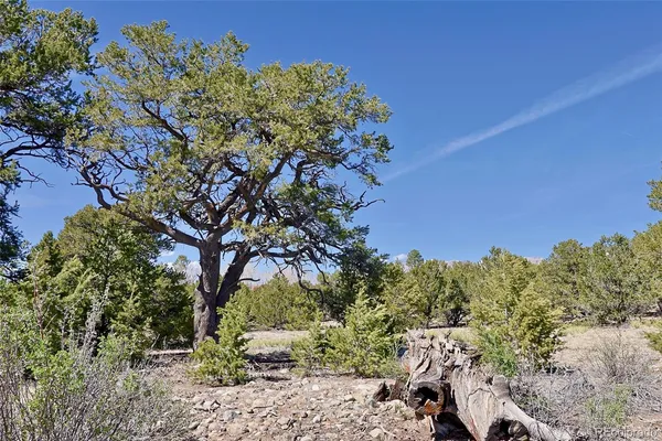 $35,000 | 3921 Cordial Way, Crestone, CO 81131