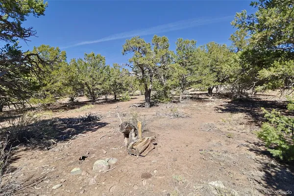 $35,000 | 3921 Cordial Way, Crestone, CO 81131