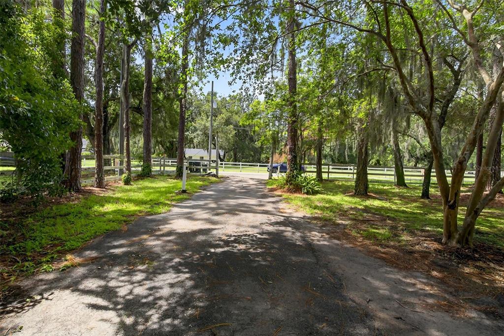 12936 Broleman Road Orlando, FL 32832 - Photo 81 of 82