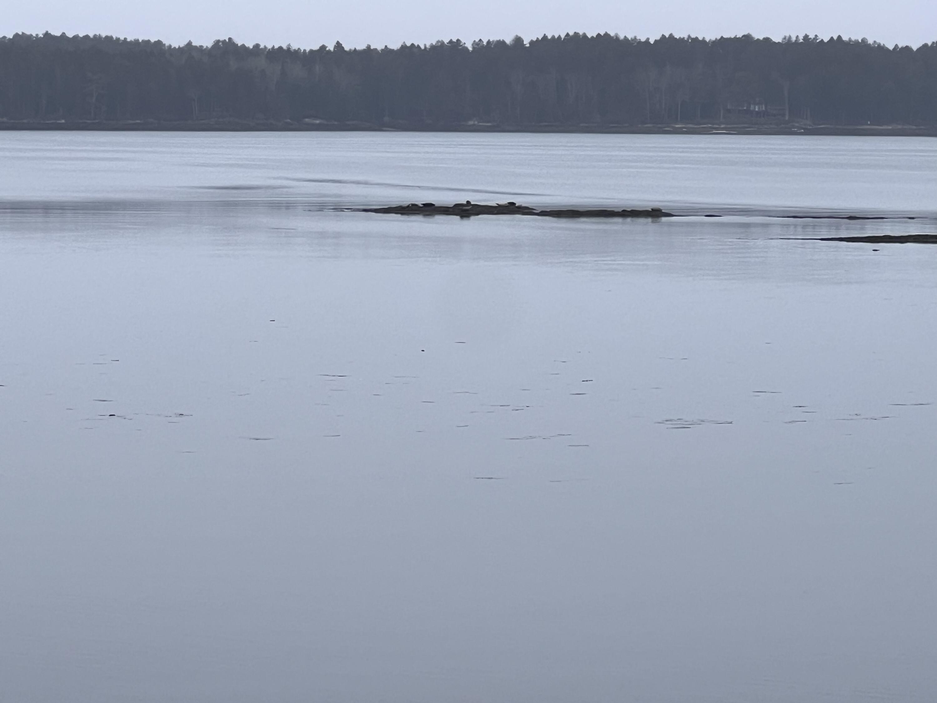 38 Samuels Landing Road Phippsburg, ME 04562 - Photo 73 of 74 2B2F8D51-EE0E-401E-9711-4114C729F3E5