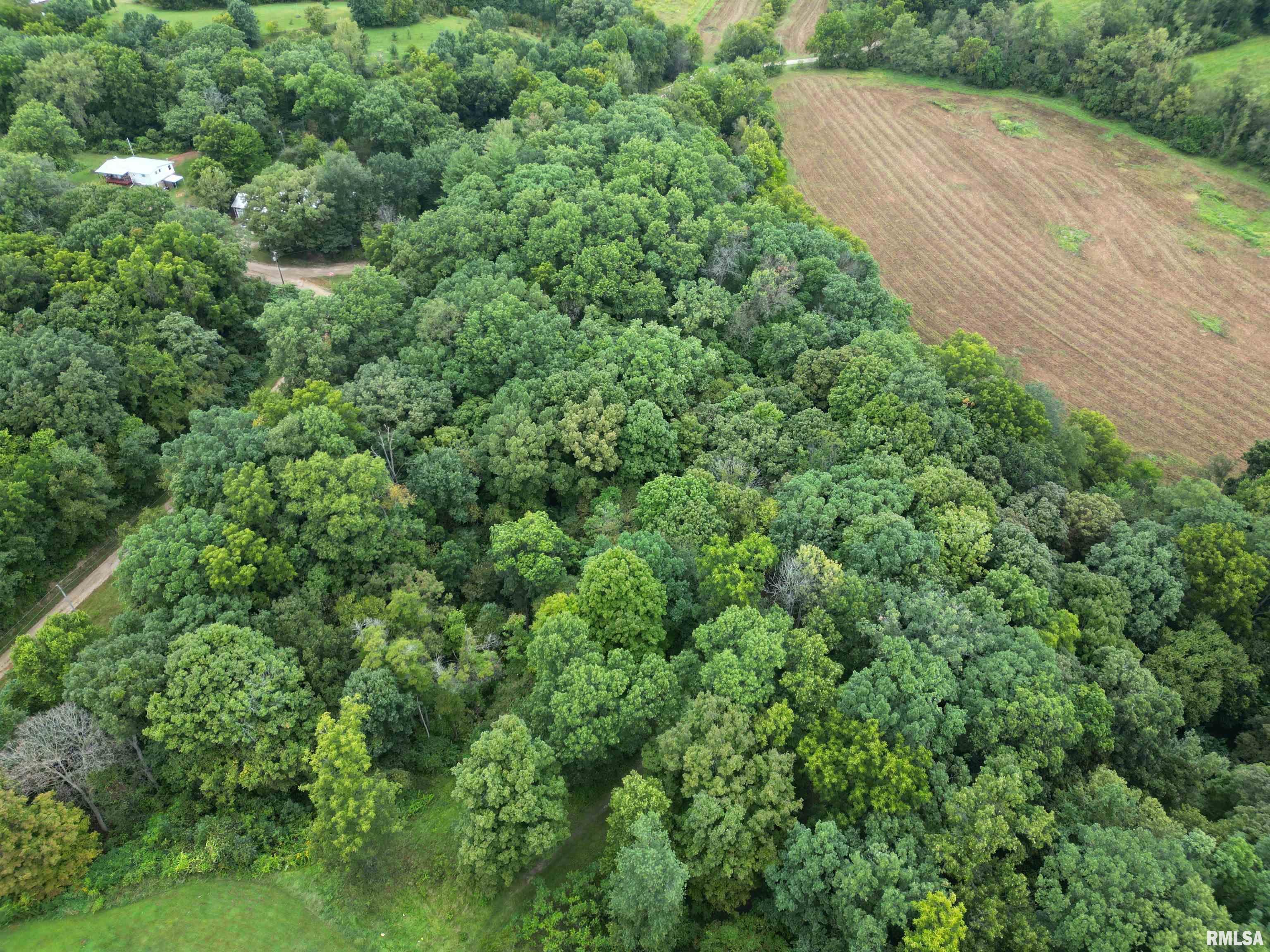 0 East Birds Corner Road Glasford, IL 61533 - Photo 5 of 9 Gallery Image 5