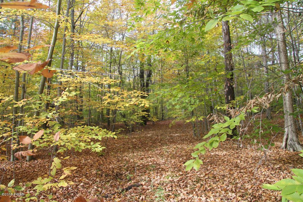Lot 8-9 Ravnikar Road Waymart, PA 18472 - Photo 5 of 6