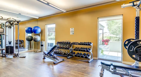 a living room with gym equipment and a window