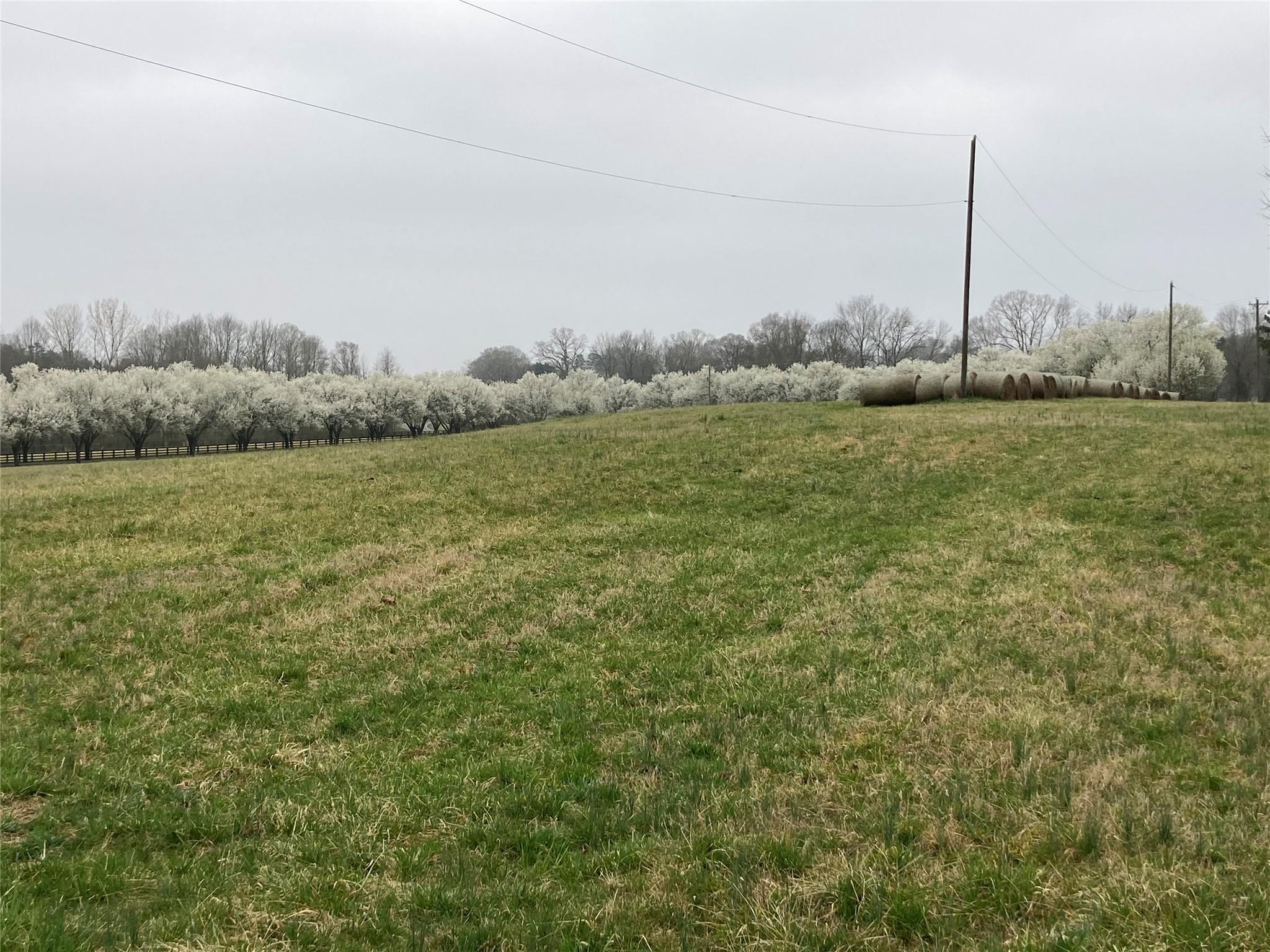 -black Rd Sam Black Road Indian Trail, NC 28079 - Photo 1 of 1 a view of a grassy field with trees in the background