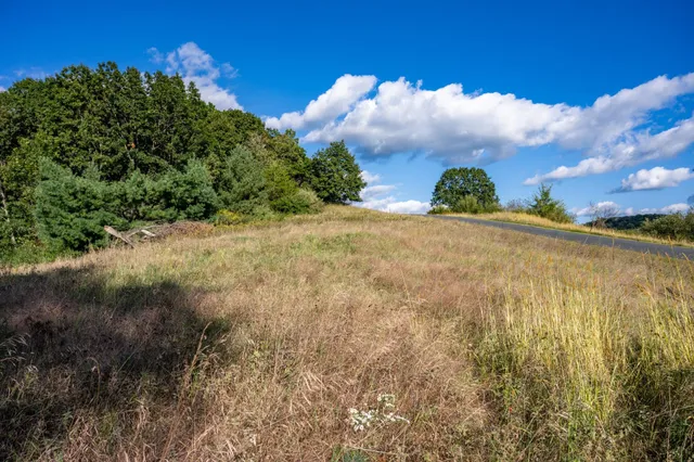 $22,500 | Lot 3 Pheasant La, La Valle, WI 53941