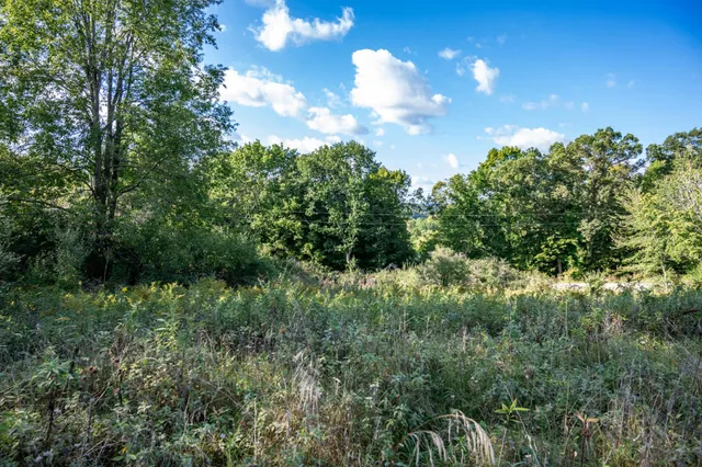 $22,500 | Lot 3 Pheasant La, La Valle, WI 53941