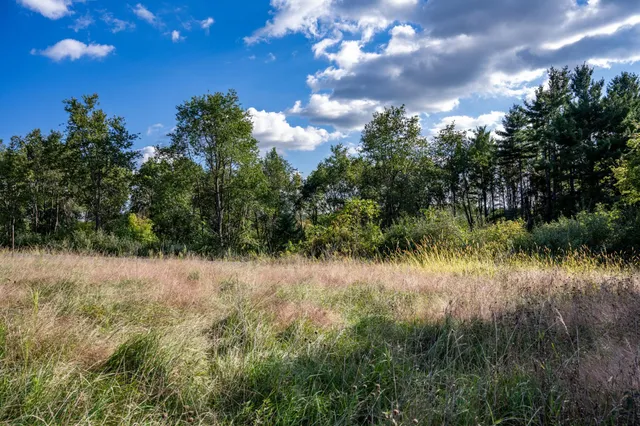 $22,500 | Lot 3 Pheasant La, La Valle, WI 53941