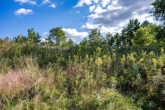 $22,500 | Lot 3 Pheasant La, La Valle, WI 53941