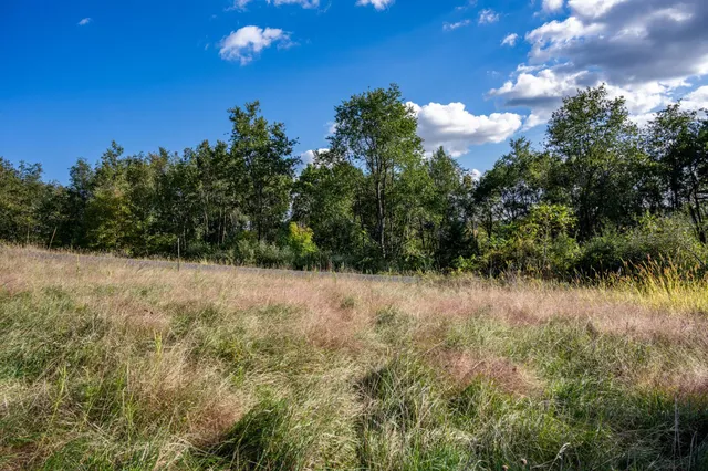 $22,500 | Lot 3 Pheasant La, La Valle, WI 53941