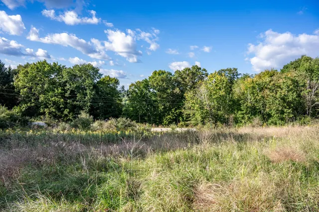 $22,500 | Lot 3 Pheasant La, La Valle, WI 53941