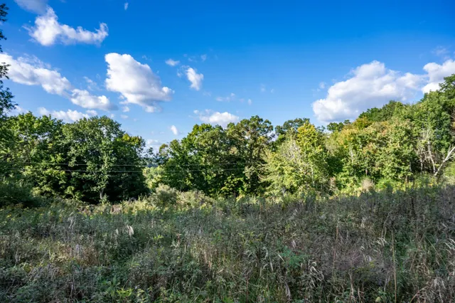 $22,500 | Lot 3 Pheasant La, La Valle, WI 53941