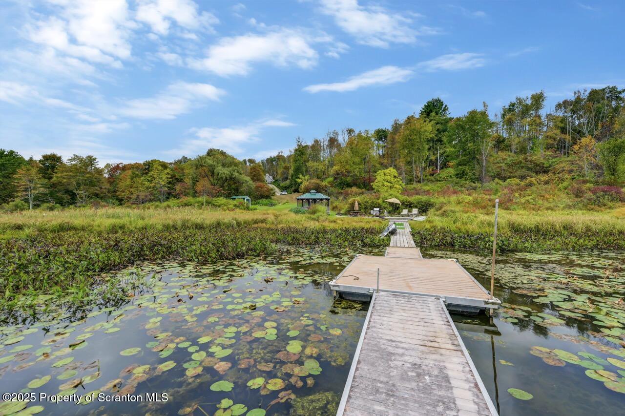 242 Shore Drive Hop Bottom, PA 18824 - Photo 107 of 118 dock