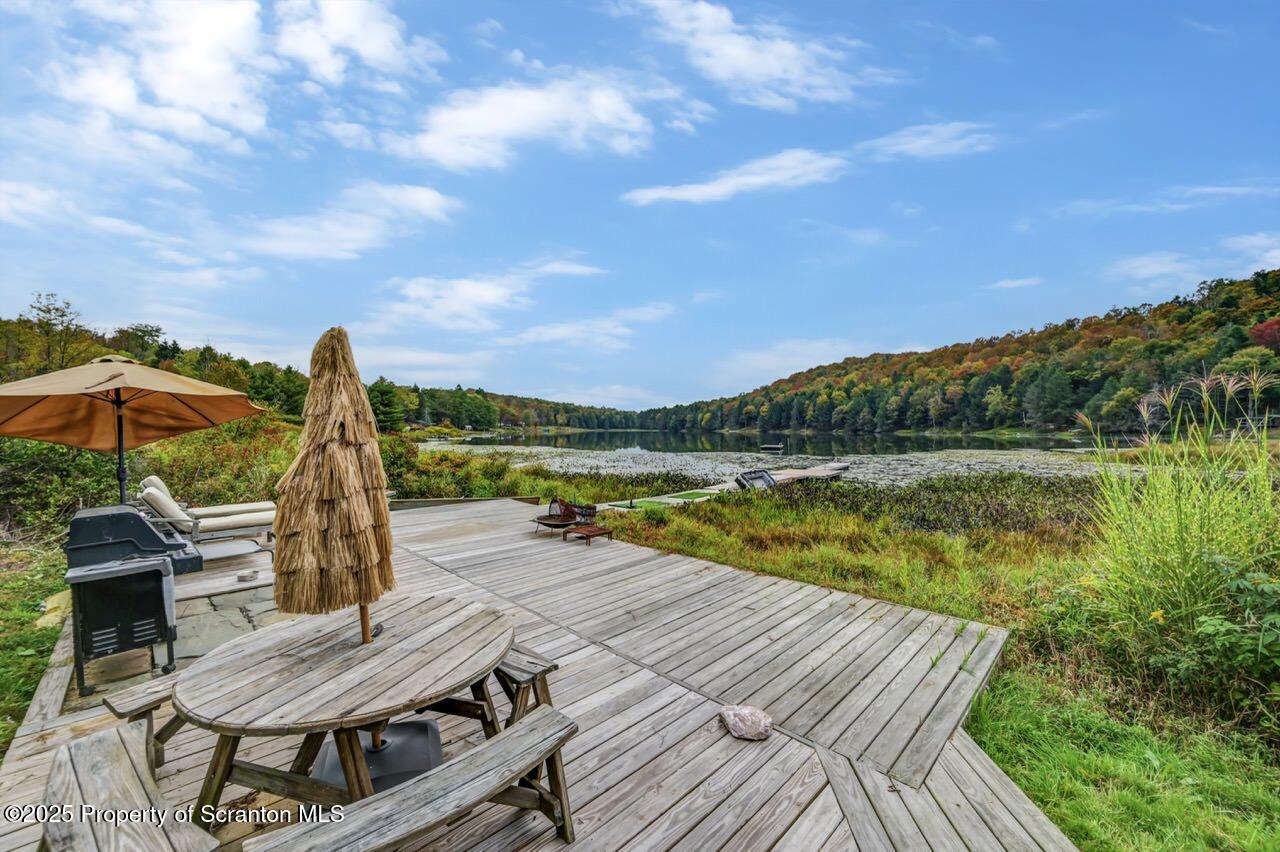 242 Shore Drive Hop Bottom, PA 18824 - Photo 109 of 118 lake area