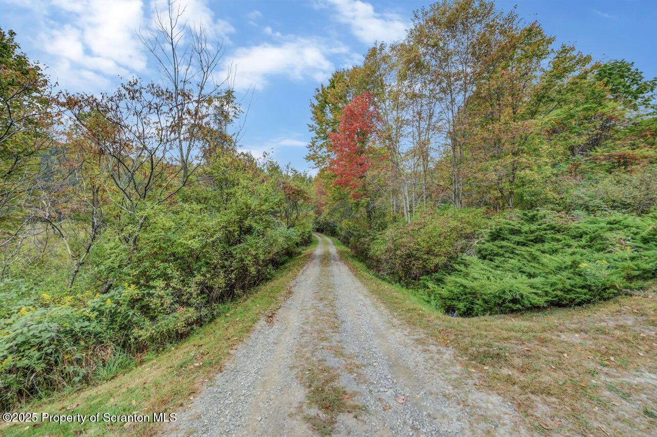 242 Shore Drive Hop Bottom, PA 18824 - Photo 113 of 118 driveway