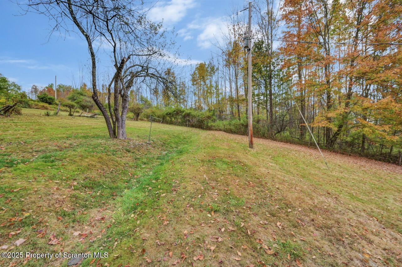 242 Shore Drive Hop Bottom, PA 18824 - Photo 97 of 118 pasture