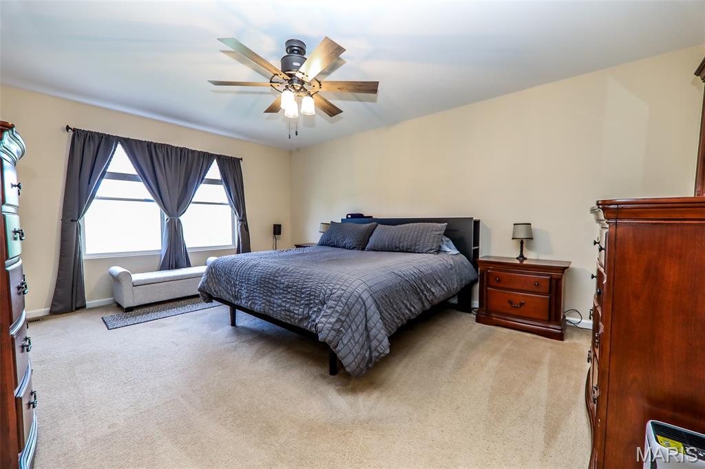 1701 Shade Tree Court Belleville, IL 62226 - Photo 18 of 39