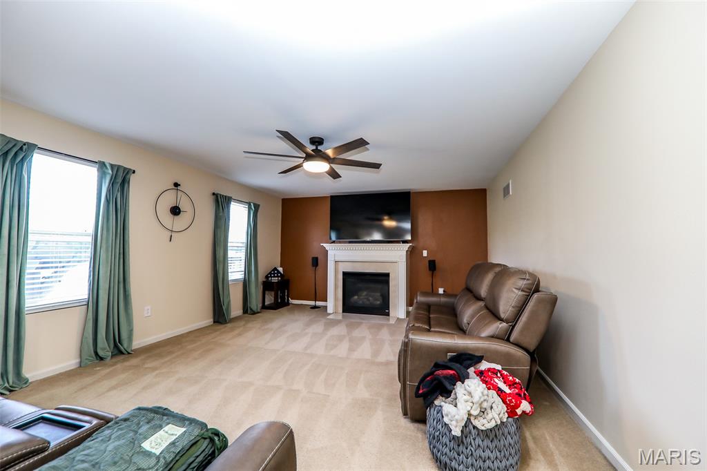 1701 Shade Tree Court Belleville, IL 62226 - Photo 8 of 39