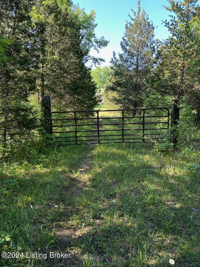 8300 Covington Ridge Cutoff Westport, KY 40077 - Photo 1 of 11 IMG_0737