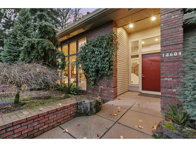 a view of backyard and tree