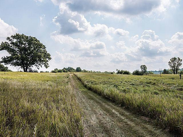 6623 Sweezy Lake Road Brooklyn, MI 49230 - Photo 51 of 59 Photo 51