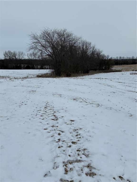 0 Northeast U Highway Hamilton, MO 64644 - Photo 4 of 5