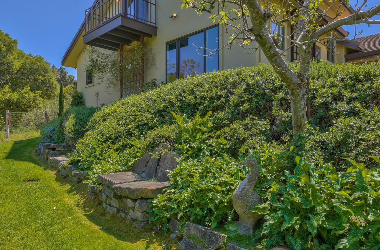 190 San Benancio Road Salinas, CA 93908 - Photo 55 of 61 a view of a backyard with plants