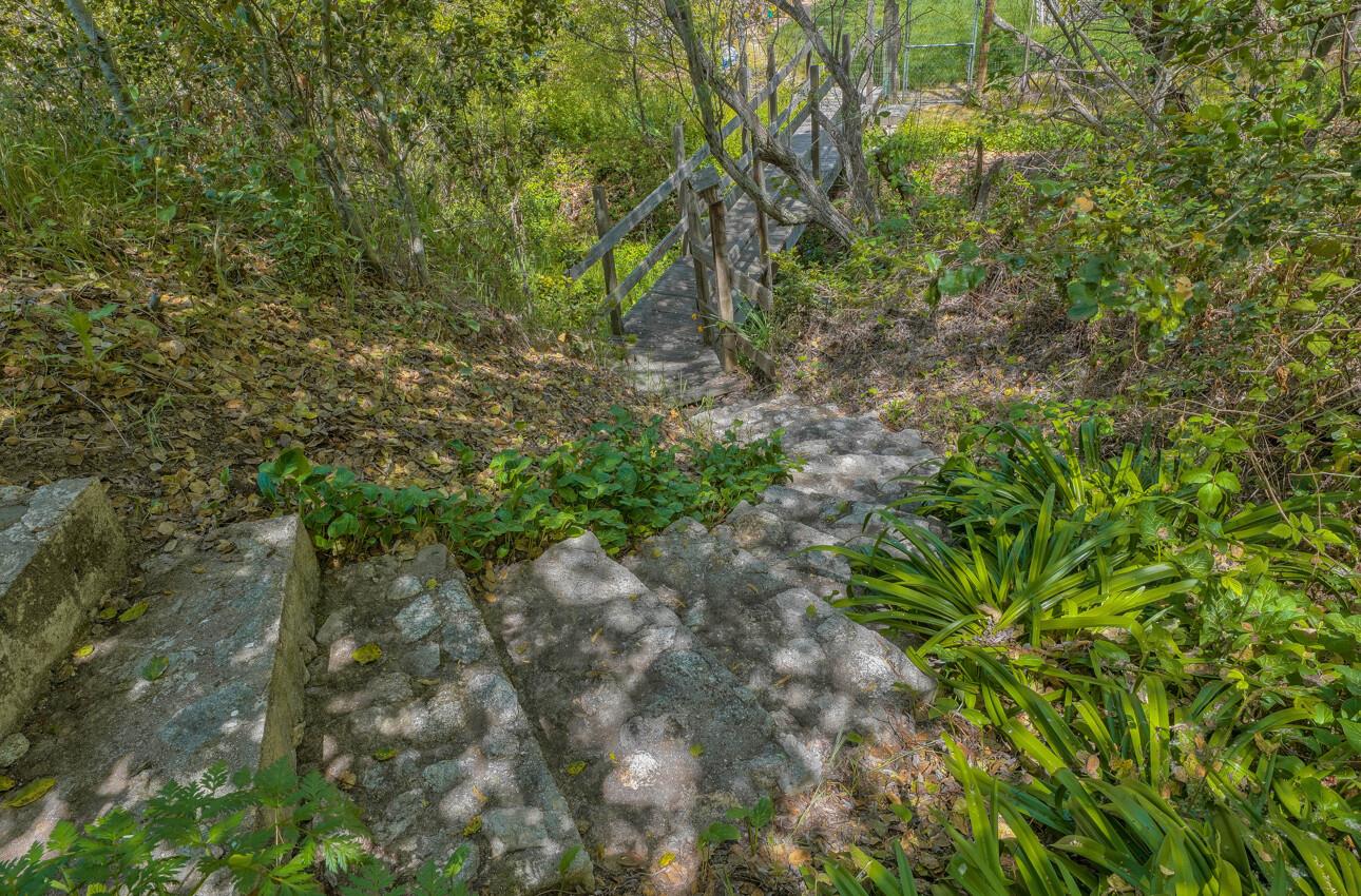 190 San Benancio Road Salinas, CA 93908 - Photo 57 of 61 a close up of a plant in a garden