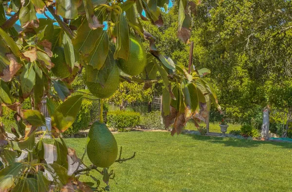 $1,999,900 | 190 San Benancio Road, Salinas, CA 93908